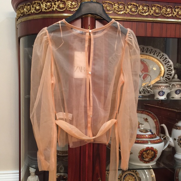 Zara See through puff sleeve nylon top with tie - Picture 4 of 9